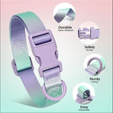 Durable Gradient Color Collar Adjustable Durable Nylon Dog Collar